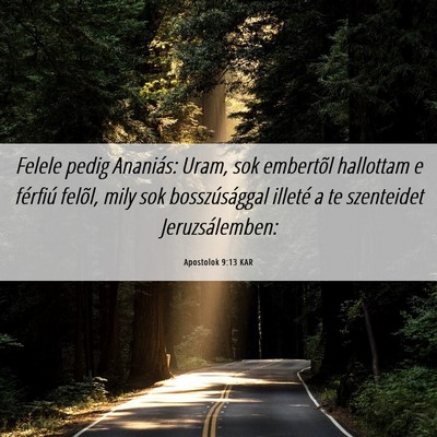 Picture 06 - Apostolok 9:13 KAR - Felele pedig Ananiás: Uram, sok embertõl - Bible Verse Picture