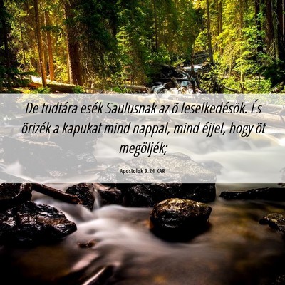Picture 06 - Apostolok 9:24 KAR - De tudtára esék Saulusnak az õ leselkedésök. - Bible Verse Picture