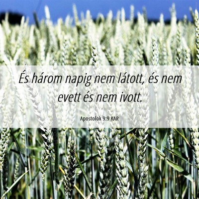 Picture 06 - Apostolok 9:9 KAR - És három napig nem látott, és nem evett és - Bible Verse Picture
