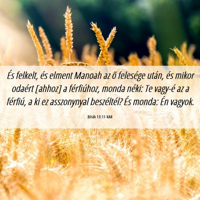 Picture 06 - Bírák 13:11 KAR - És felkelt, és elment Manoah az õ felesége - Bible Verse Picture