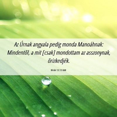 Picture 06 - Bírák 13:13 KAR - Az Úrnak angyala pedig monda Manoáhnak: - Bible Verse Picture