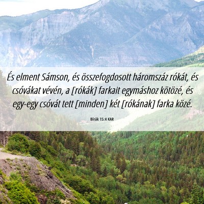 Picture 06 - Bírák 15:4 KAR - És elment Sámson, és összefogdosott - Bible Verse Picture