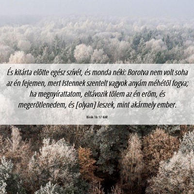 Picture 06 - Bírák 16:17 KAR - És kitárta elõtte egész szívét, és monda - Bible Verse Picture