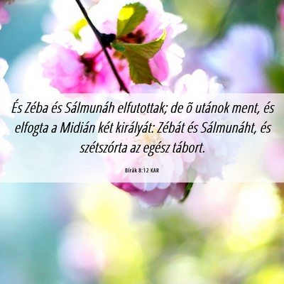 Picture 06 - Bírák 8:12 KAR - És Zéba és Sálmunáh elfutottak; de õ - Bible Verse Picture