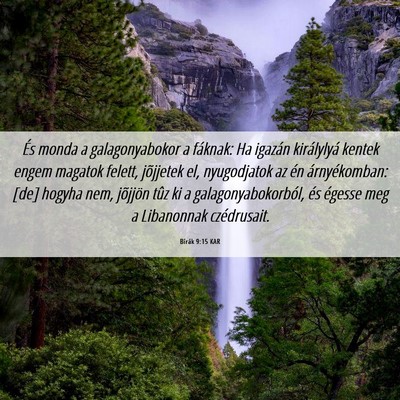 Picture 06 - Bírák 9:15 KAR - És monda a galagonyabokor a fáknak: Ha igazán - Bible Verse Picture