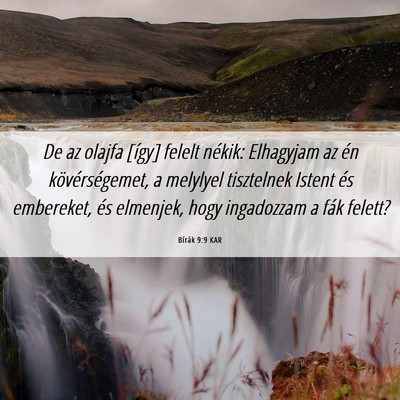 Picture 06 - Bírák 9:9 KAR - De az olajfa [így] felelt nékik: Elhagyjam az - Bible Verse Picture
