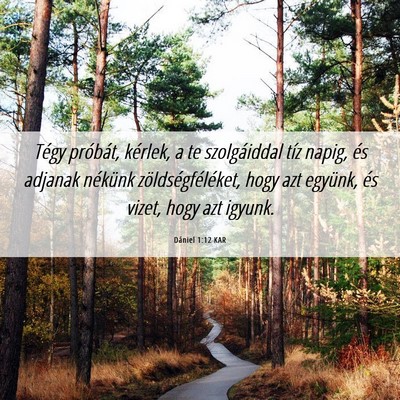 Picture 06 - Dániel 1:12 KAR - Tégy próbát, kérlek, a te szolgáiddal tíz - Bible Verse Picture