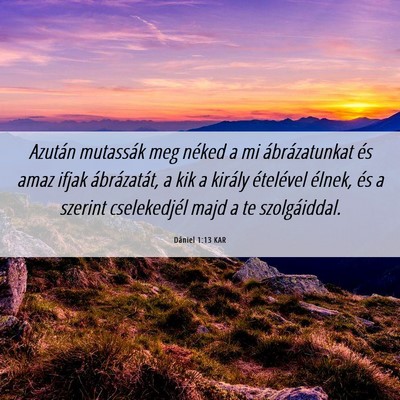 Picture 06 - Dániel 1:13 KAR - Azután mutassák meg néked a mi ábrázatunkat - Bible Verse Picture