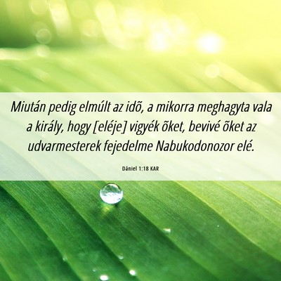 Picture 06 - Dániel 1:18 KAR - Miután pedig elmúlt az idõ, a mikorra - Bible Verse Picture