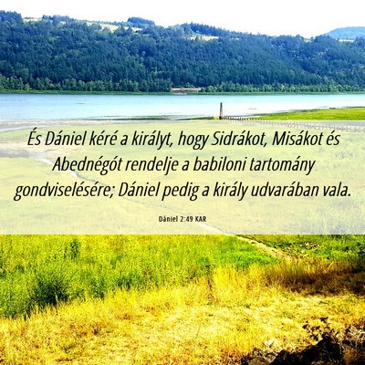 Picture 06 - Dániel 2:49 KAR - És Dániel kéré a királyt, hogy Sidrákot, - Bible Verse Picture