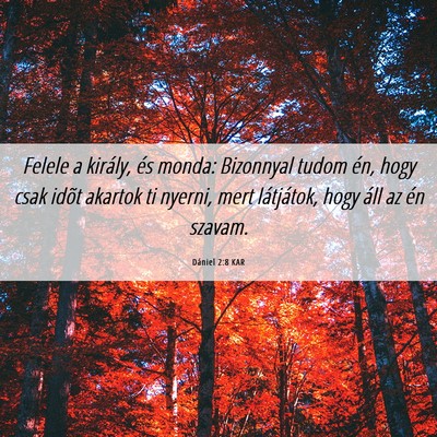Picture 06 - Dániel 2:8 KAR - Felele a király, és monda: Bizonnyal tudom én, - Bible Verse Picture