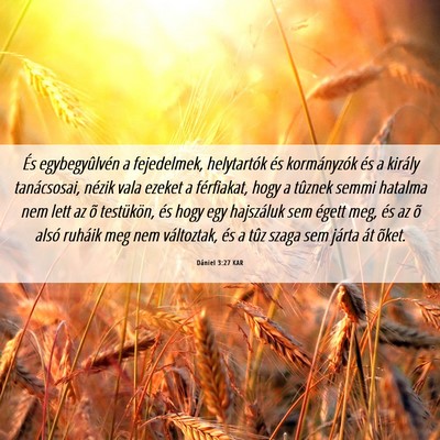 Picture 06 - Dániel 3:27 KAR - És egybegyûlvén a fejedelmek, helytartók és - Bible Verse Picture