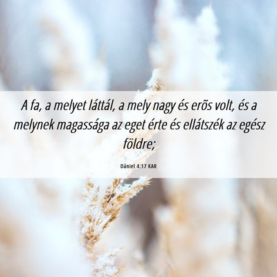 Picture 06 - Dániel 4:17 KAR - A fa, a melyet láttál, a mely nagy és erõs - Bible Verse Picture