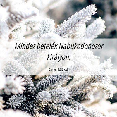 Picture 06 - Dániel 4:25 KAR - Mindez betelék Nabukodonozor - Bible Verse Picture