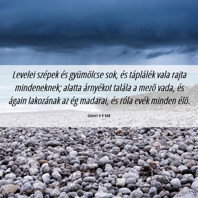 Picture 06 - Dániel 4:9 KAR - Levelei szépek és gyümölcse sok, és - Bible Verse Picture
