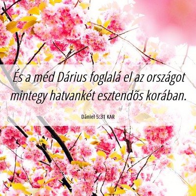 Picture 06 - Dániel 5:31 KAR - És a méd Dárius foglalá el az országot - Bible Verse Picture