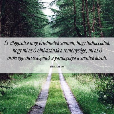 Picture 06 - Efézus 1:18 KAR - És világosítsa meg értelmetek szemeit, hogy - Bible Verse Picture