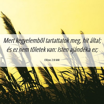 Picture 06 - Efézus 2:8 KAR - Mert kegyelembõl tartattatok meg, hit által; - Bible Verse Picture