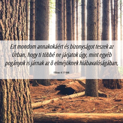 Picture 06 - Efézus 4:17 KAR - Ezt mondom annakokáért és bizonyságot teszek - Bible Verse Picture