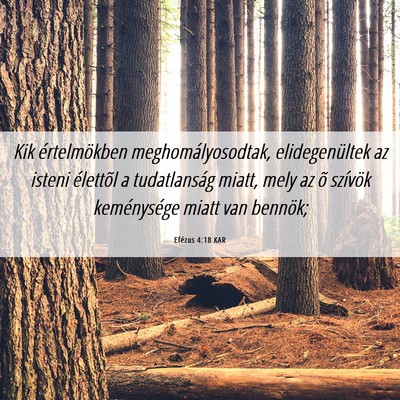 Picture 06 - Efézus 4:18 KAR - Kik értelmökben meghomályosodtak, - Bible Verse Picture