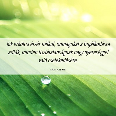 Picture 06 - Efézus 4:19 KAR - Kik erkölcsi érzés nélkül, önmagukat a - Bible Verse Picture