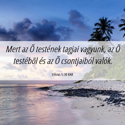 Picture 06 - Efézus 5:30 KAR - Mert az Õ testének tagjai vagyunk, az Õ - Bible Verse Picture