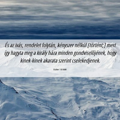 Picture 06 - Eszter 1:8 KAR - És az ivás, rendelet folytán, kényszer - Bible Verse Picture