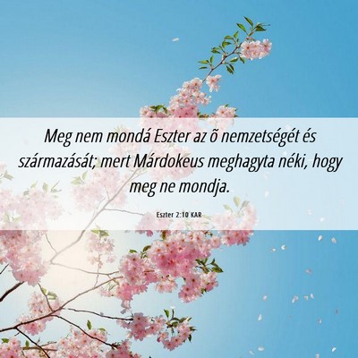 Picture 06 - Eszter 2:10 KAR - Meg nem mondá Eszter az õ nemzetségét és - Bible Verse Picture