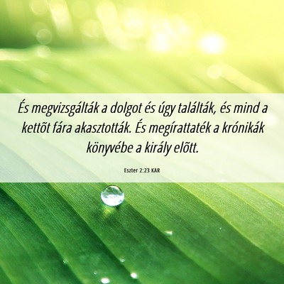 Picture 06 - Eszter 2:23 KAR - És megvizsgálták a dolgot és úgy találták, - Bible Verse Picture