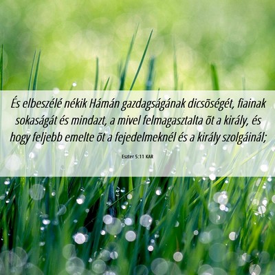 Picture 06 - Eszter 5:11 KAR - És elbeszélé nékik Hámán gazdagságának - Bible Verse Picture