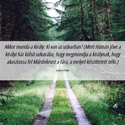 Picture 06 - Eszter 6:4 KAR - Akkor monda a király: Ki van az udvarban? (Mert - Bible Verse Picture