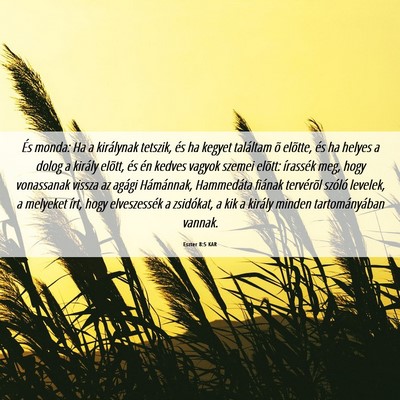 Picture 06 - Eszter 8:5 KAR - És monda: Ha a királynak tetszik, és ha kegyet - Bible Verse Picture