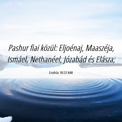 Picture 06 - Ezsdrás 10:22 KAR - Pashur fiai közül: Eljoénaj, Maaszéja, - Bible Verse Picture
