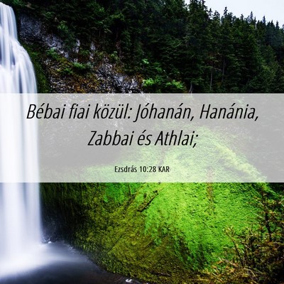Picture 06 - Ezsdrás 10:28 KAR - Bébai fiai közül: Jóhanán, Hanánia, Zabbai - Bible Verse Picture