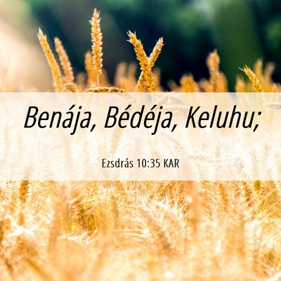 Picture 06 - Ezsdrás 10:35 KAR - Benája, Bédéja, - Bible Verse Picture