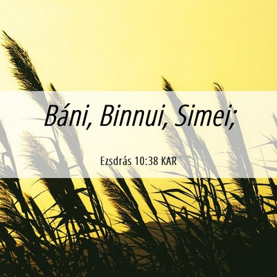 Picture 06 - Ezsdrás 10:38 KAR - Báni, Binnui, - Bible Verse Picture