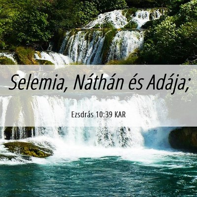 Picture 06 - Ezsdrás 10:39 KAR - Selemia, Náthán és - Bible Verse Picture