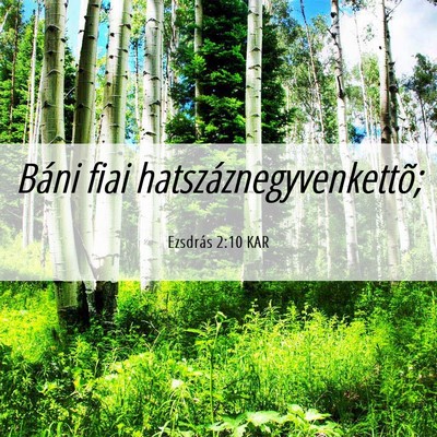 Picture 06 - Ezsdrás 2:10 KAR - Báni fiai - Bible Verse Picture