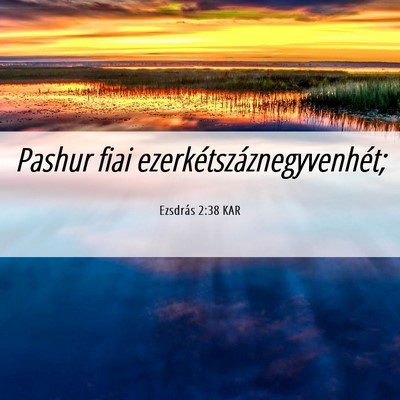 Picture 06 - Ezsdrás 2:38 KAR - Pashur fiai - Bible Verse Picture