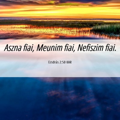 Picture 06 - Ezsdrás 2:50 KAR - Aszna fiai, Meunim fiai, Nefiszim - Bible Verse Picture