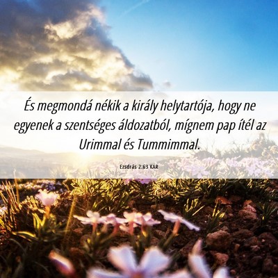 Picture 06 - Ezsdrás 2:63 KAR - És megmondá nékik a király helytartója, hogy - Bible Verse Picture
