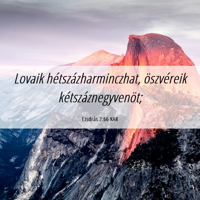 Picture 06 - Ezsdrás 2:66 KAR - Lovaik hétszázharminczhat, öszvéreik - Bible Verse Picture