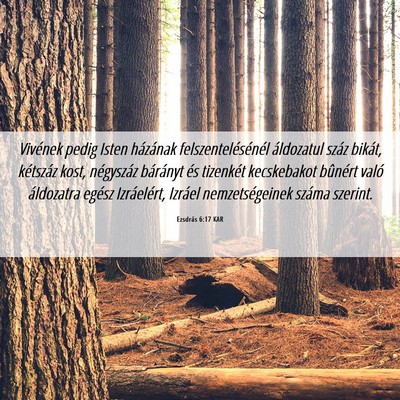 Picture 06 - Ezsdrás 6:17 KAR - Vivének pedig Isten házának - Bible Verse Picture