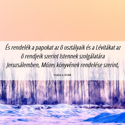 Picture 06 - Ezsdrás 6:18 KAR - És rendelék a papokat az õ osztályaik és a - Bible Verse Picture
