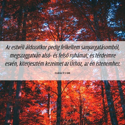 Picture 06 - Ezsdrás 9:5 KAR - Az estvéli áldozatkor pedig felkeltem - Bible Verse Picture