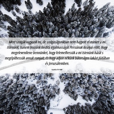 Picture 06 - Ezsdrás 9:9 KAR - Mert szolgák vagyunk mi, de szolgaságunkban nem - Bible Verse Picture