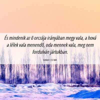 Picture 06 - Ezékiel 1:12 KAR - És mindenik az õ orczája irányában megy - Bible Verse Picture