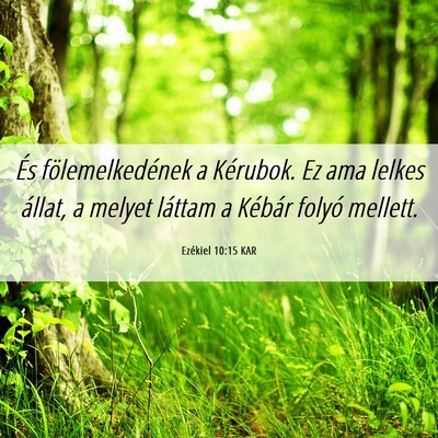 Picture 06 - Ezékiel 10:15 KAR - És fölemelkedének a Kérubok. Ez ama lelkes - Bible Verse Picture