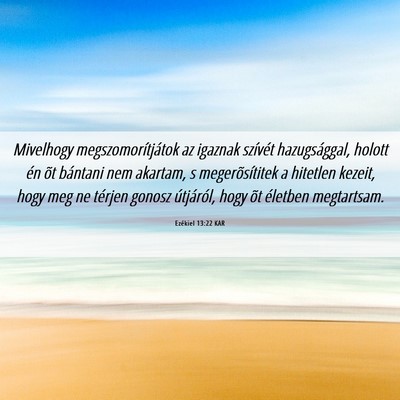 Picture 06 - Ezékiel 13:22 KAR - Mivelhogy megszomorítjátok az igaznak szívét - Bible Verse Picture
