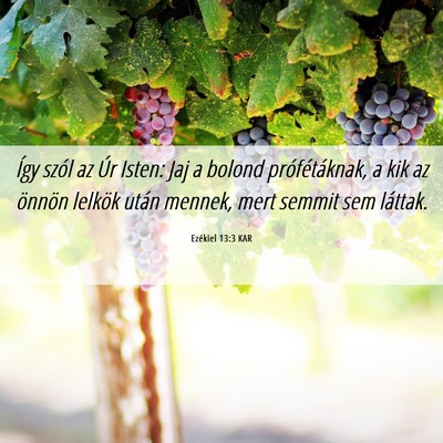 Picture 06 - Ezékiel 13:3 KAR - Így szól az Úr Isten: Jaj a bolond - Bible Verse Picture